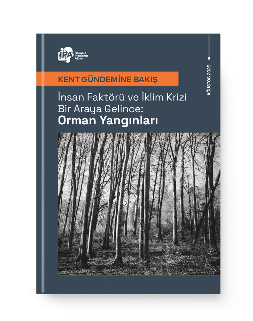 İnsan Faktörü ve İklim Krizi Bir Araya Gelince: Orman Yangınları