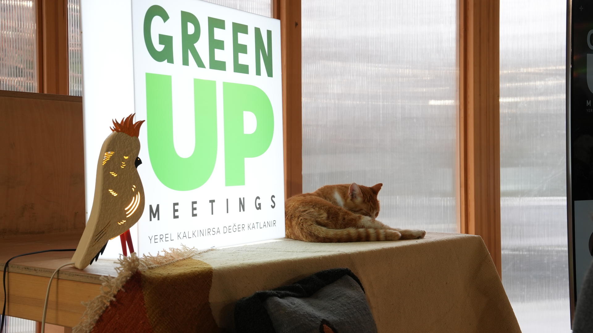 GREEN UP MEETINGS6